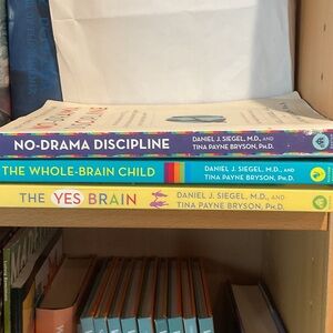 No-Drama Discipline and More Book Set